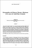 Sese 1989 Micromamiferos del Mioceno Plioceno Pleistoceno de Guadix Baza Granada.pdf.jpg
