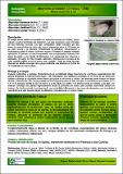 Aleyrodes proletella ficha.pdf.jpg