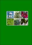 Caracterización química de fibras de plantas herbáceas.pdf.jpg