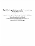 epithelial_organisation_Escudero.pdf.jpg