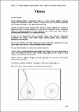 Vinosa_CartFrutHuePep_Peral 186.pdf.jpg