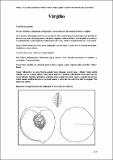 Virgilio_CartFrutHuePep_Melocotonero 109.pdf.jpg