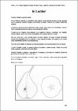 LeLectier_CartFrutHuePep_Peral 93.pdf.jpg