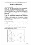 MantecosaSuperfina_CartFrutHuePep_Peral 120.pdf.jpg