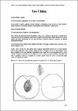 TosChina_CartFrutHuePep_Melocotonero 104.pdf.jpg
