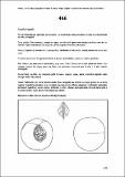 466_CartFrutHuePep_Melocotonero 117.pdf.jpg