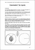 Encarnado2¬deAgosto_CartFrutHuePep_Melocotonero 41.pdf.jpg
