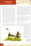 Palacín et al Atlas Aves Invernantes Madrid (2002).pdf.jpg