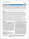Saccharomyces cerevisiae.pdf.jpg