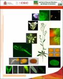 Servicio de Microscopía, Confocal e Imagen Salamaq 14.pdf.jpg