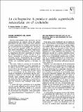 Nefrologia  XX-Supl. 2 (31-35) 2000.pdf.jpg
