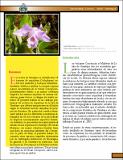 estudio_preliminar_orquideas.pdf.jpg