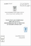 Influencia_enmiendas_organicas.pdf.jpg
