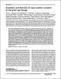 great_ape_lineage_Sudmant.pdf.jpg