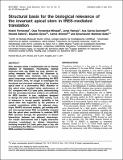 Martínez-SalasE_StructuralBasisForTheBiological Relevance.pdf.jpg
