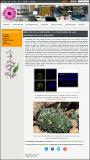 Impacto-de-la-disploidia-y-la-poliploidia-en-las-Artemisia-de-alta-montana-Garcia-Sonia-2015.jpg.jpg