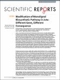 Modification_Monolignol_biosynthetic_pathway_jute_2017.pdf.jpg
