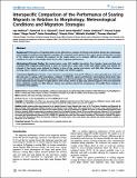 MigrationStrategie.PDF.jpg