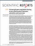 Conserved_gene_regulation_2017.pdf.jpg