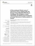 Recombinant Potato virus Y Infectious Clone.pdf.jpg