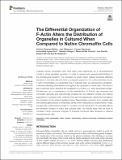 The Differential Organization of F-Actin.pdf.jpg