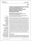 Factor Linking Floral Organ Identity and Growth Revealed.pdf.jpg
