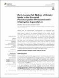 Evolutionary Cell Biology of Division Mode.pdf.jpg