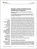 Genetic control of inflorescence architecture in legumes.pdf.jpg