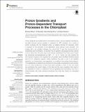 Proton Gradients and Proton-Dependent.pdf.jpg