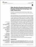 DNA-Binding Proteins Essential.pdf.jpg