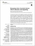 Emerging roles of protein kinase CK2.pdf.jpg