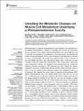 Unveiling the Metabolic Changes on Muscle Cel.pdf.jpg