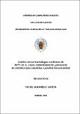 Tesis_Rafael_Samaniego_García_UCM.pdf.jpg