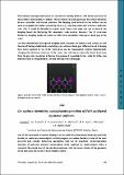 on_surface_chemistry_Palacio.pdf.jpg