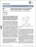 Supramolecular protection from the enzymatic tyrosine phosphorylation in a polypeptide.pdf.jpg