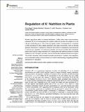 Regulation_k+_nutrition_plants_2019_OA_CC4.pdf.jpg