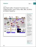 Aryl Hydrocarbon_MorenoMarin.pdf.jpg