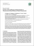 interface-induced-plasmon-nonhomogeneity.pdf.jpg