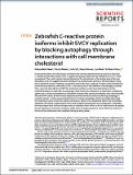 Zebrafish_C_reactive_OA_2020.pdf.jpg
