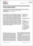 Role of protein phosphatases_Ramos.pdf.jpg