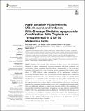 PARP Inhibitor PJ34.pdf.jpg