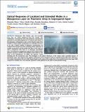 Optical Responses of Localized.pdf.jpg