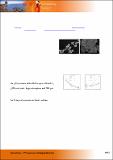Sympsium Fe_Mg POWER_JGC.pdf.jpg