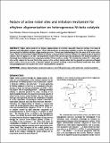 Nature of Active Nickel Sites... ACS Catal 8 (2018) 3903_version postprint.pdf.jpg