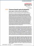 Camera‑based optical palpation.pdf.jpg
