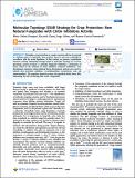 Molecular Topology QSAR.pdf.jpg
