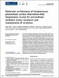 Molecular_architecture_Streptococcus.pdf.jpg