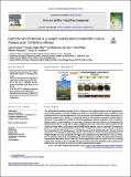 Hydrothermal_treatment_Pampas_grass_Suarez.pdf.jpg