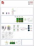 The_meiosis-specific.pdf.jpg