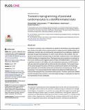Transient_reprogramming_of_postnatal_cardiomyocytes.pdf.jpg